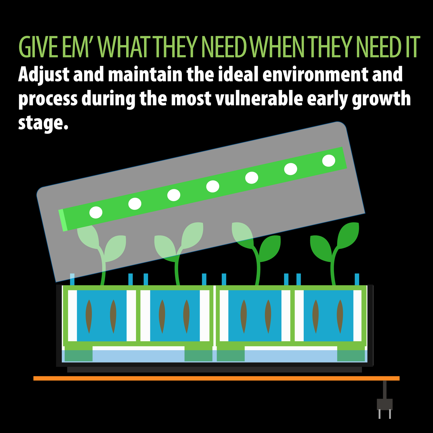 Image showcases our upcoming TRa version with an open lid, containing plants growing inside our Split-Pots. The bottom is partially filled with water, sitting on a heat pad to maintain optimal growing conditions during the early growth stage.