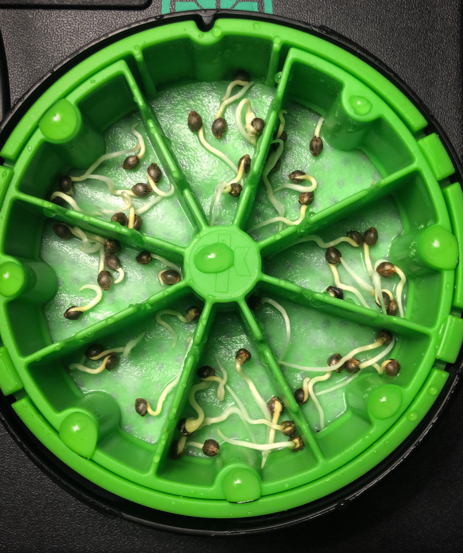 KAN® seed germination canister