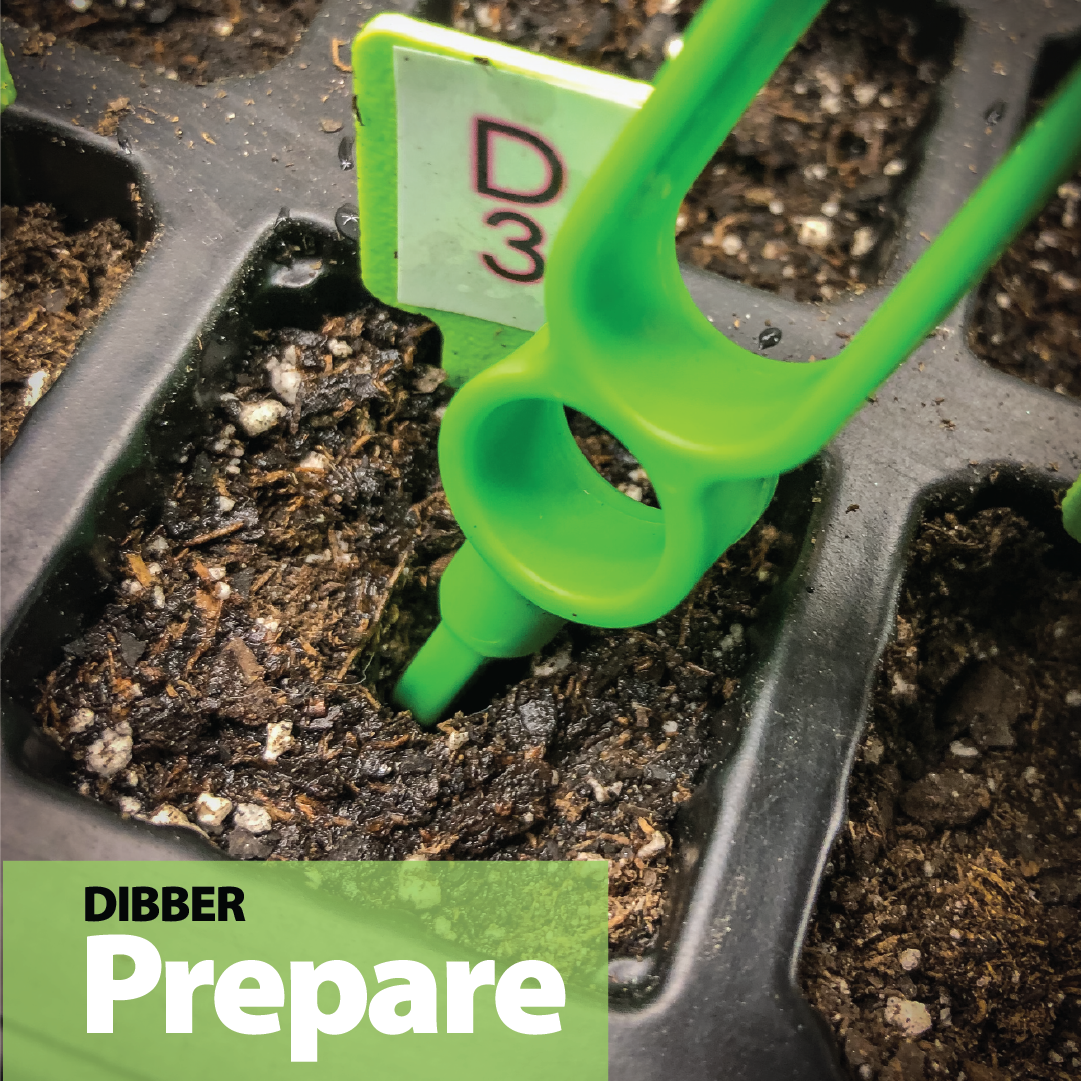 Real picture showing the opposite end of our Huggers, with the dibber end inserted into the soil or preferred medium to create a hole - the ideal-sized environment for the incoming seed.