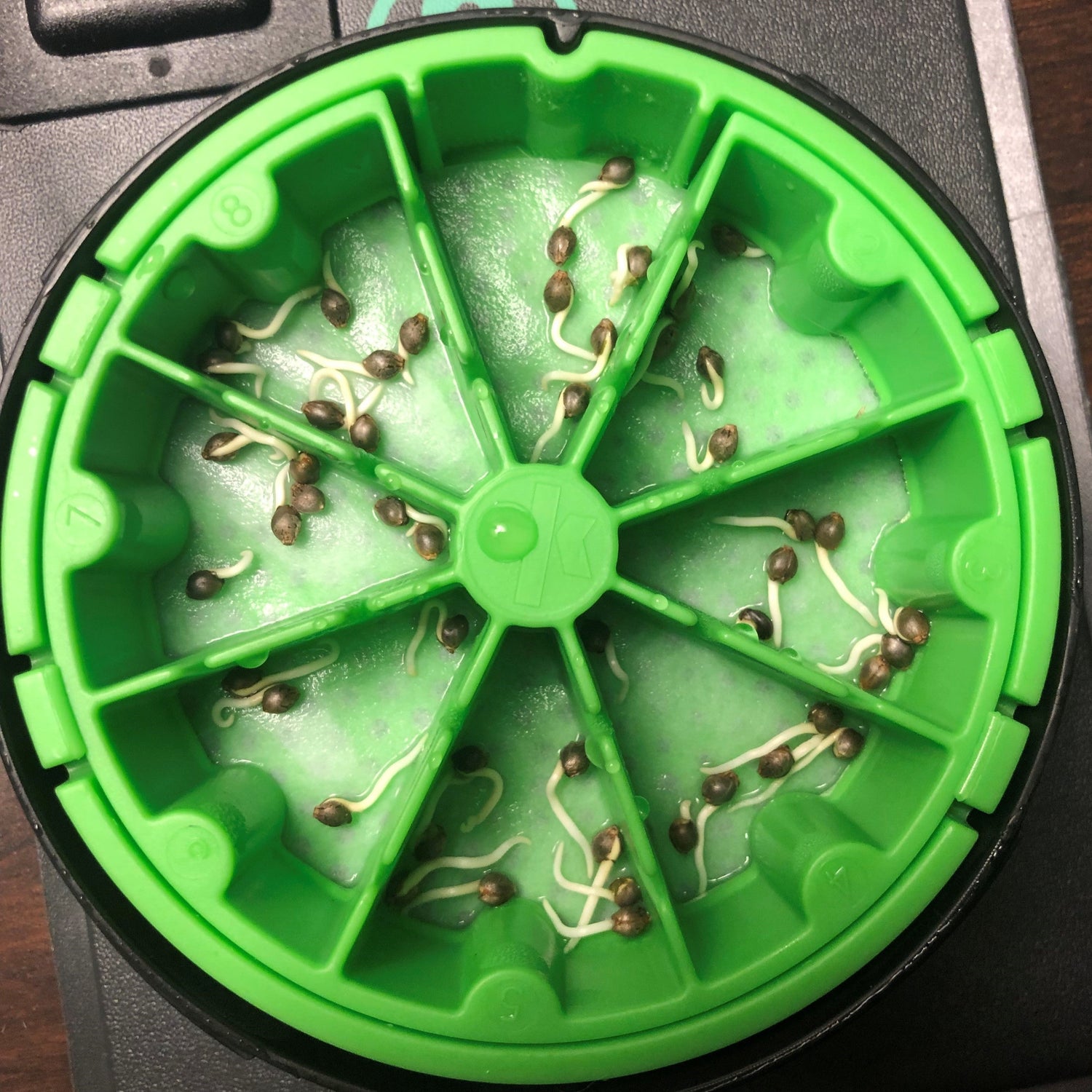 KAN® Germination Bundle