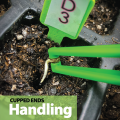 Real Picture shows our Seed Huggers, planting a seed with or without germinated taproots with an easy handle. 